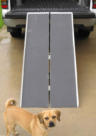 Car, Vehicle Wheelchair Ramp
